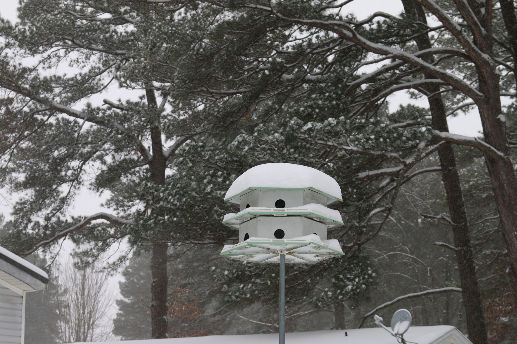 snow